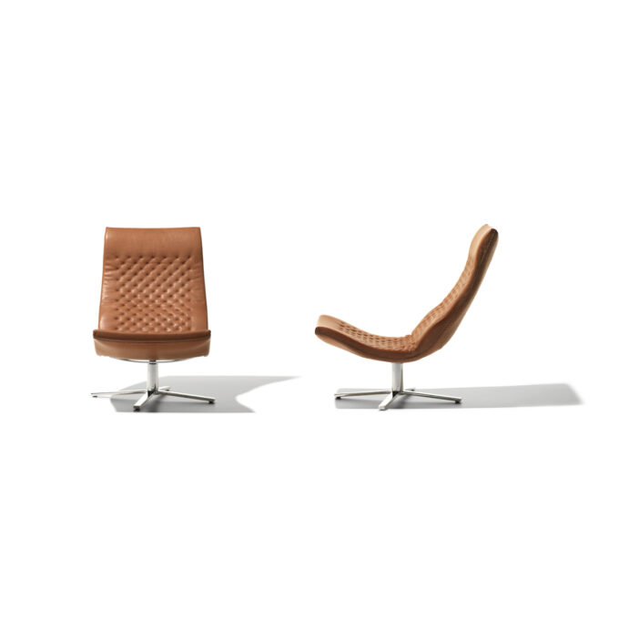 DS-51 Slim Armchair - Image 5