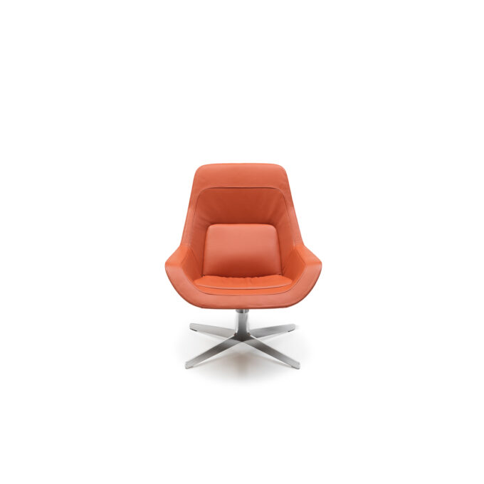 DS-144 Armchair - Image 3