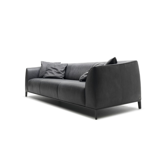 mobili-mobel-desede-ds-276_sofa_leather_angle_0228