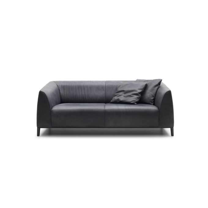 mobili-mobel-desede-ds-276_sofa_leather_front_0241