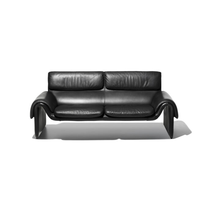 mobili-mobel-sofa-desede_ds-2011_sofa_leather_03