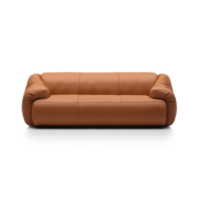 mobili-mobel-desede-ds-705_sofa_leather_touch_cuoio_01_print