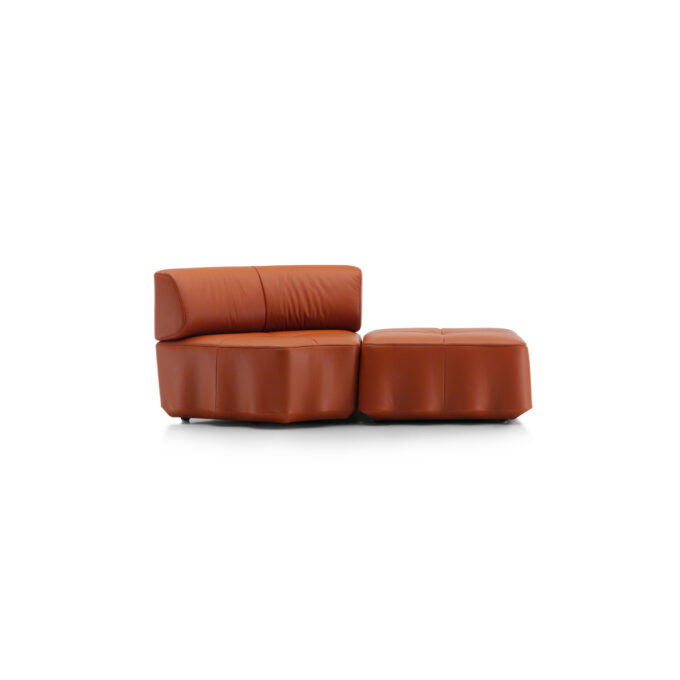 mobili-mobel-desede-ds-808_sofa_select_teak_print_20