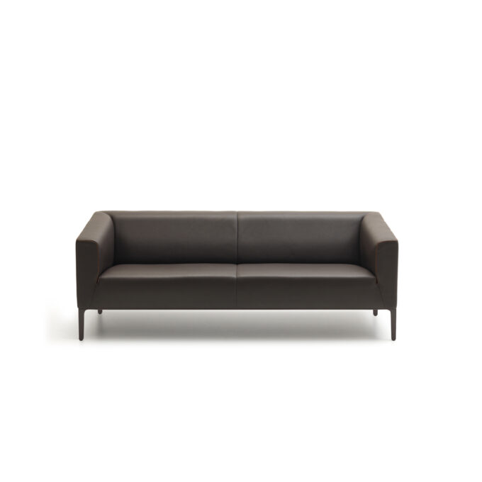 DS-161 Sofa - Image 3