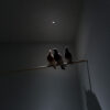 Nulla Recessed Lighting - Image 6