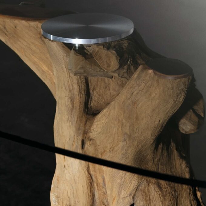 Sequoia - Image 2