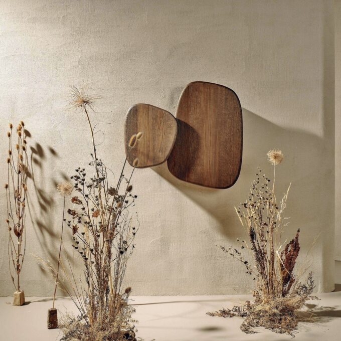 Soil - Image 5